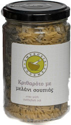 Kritaroto Melani Soupiás