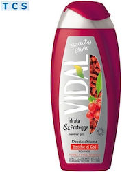 Vidal Spumă de duș 250 ml Vidal Spumă de duș 250 ml