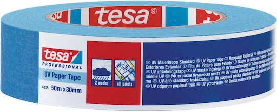 281029 Tesa Außenseite Maskierung 14d 50 X 30