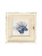 Canvas Painting “Lionfish” 30x30x2