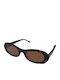 The Glass of Brixton Women's Sunglasses with Brown Tartaruga Horn-Rimmed Frame and Brown Lens BS301 16