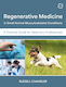 Regenerative Medicine In Small Animal Musculoskeletal Conditions - 5m Books Ltd - Paperback / Softback