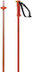 Salomon Poles Polar Cherry Tomato Cheeks