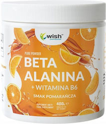 Wish Pharmaceutical Beta-Alanina + Vitamina B6 400gr Wish Pharmaceutical Beta-Alanina + Vitamina B6 400gr
