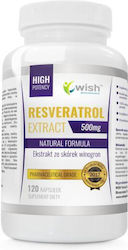 Wish Pharmaceutical Extrakt Resveratrol 500mg + L-Leucin + Präbiotikum 120 Kapseln Wish Pharmaceutical Extrakt Resveratrol 500mg + L-Leucin + Präbiotikum 120 Kapseln