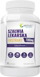 Wish Pharmaceutical Sage Extract 700mg 90 κάψουλες Wish Pharmaceutical Sage Extract 700mg 90 κάψουλες