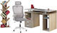 HomeMarkt Γραφείο HM11207