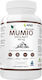 Wish Pharmaceutical Mumio Shilajit 400mg 90 Capsules