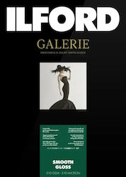 Ilford Hârtie Foto Ilford Galerie Lucios Smooth 310g 13x18 100 Foi Ilford Hârtie Foto Ilford Galerie Lucios Smooth 310g 13x18 100 Foi