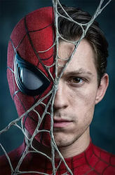 Poster Marvel Studios Spider-man Mv312 21cm X 30cm-71782pd159112