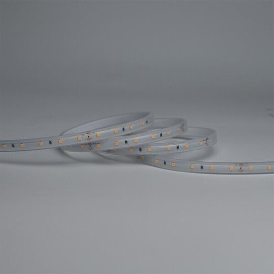 Eurolamp Wasserdichter LED-Streifen 12V Kaltweißes Licht 5m TYP SMD2835