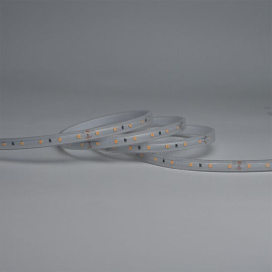 Eurolamp Waterproof LED Strip 12V Natural White Light 5m SMD2835 Type