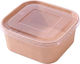 Set 50 Paper Salad Boxes