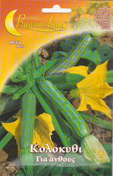 Primasem Pumpkin Seeds for Blossom 10gr