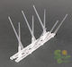 Protecta Vogelabwehrspikes 14m