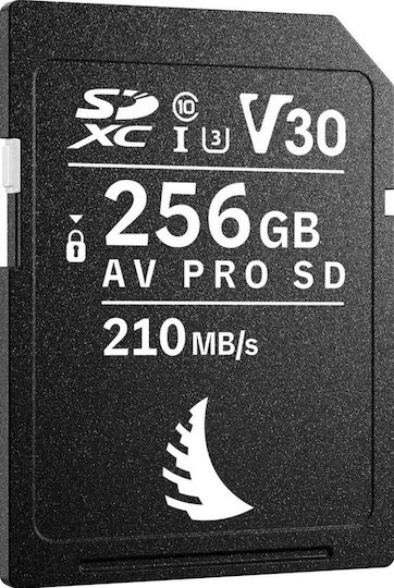 Angelbird Card de memorie SD AV PRO SD MK2 R210/W140 V30 256GB