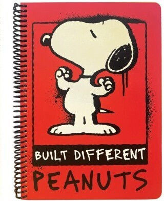 Peanuts Snoopy and Woodstock Spiral Ruled Notebook B5 105 Paper Sheets 3 Subjects Built Different