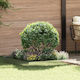 vidaXL Metallic Garden Hedge In Silver Colour 1x1m
