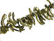 Natürliche Muschel Chips 22~25mm Grüne 93-148Stück