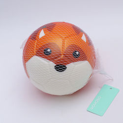 Kids Crazy Ball