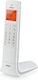 Brondi Lemure Cordless Phone White