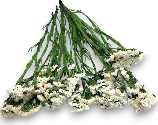 Amarant Uscat Ivoire Buchet Decorativ Elegant 70cm L123l Riniotis Rin-l123l
