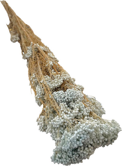 Buchet Semințe Uscate Albastre Decorative Flori Uscate 70cm L124s Riniotis Rin-l124s