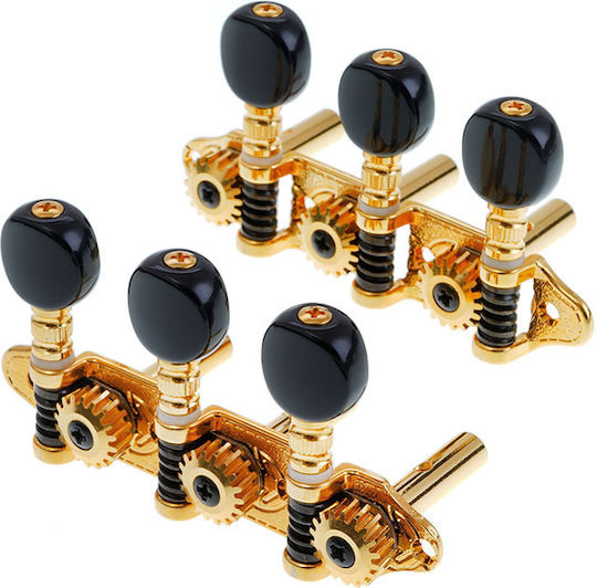 Grover Ma200 Es 3+3 Gold Black Buttons
