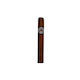 Montecristo Karelia Zigarren