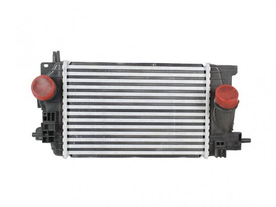 Ψυγείο Αέρα Υπερπλήρωσης Opel Meriva B 1302142