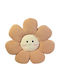 Kids Decorative Brown Pillow 40x40cm