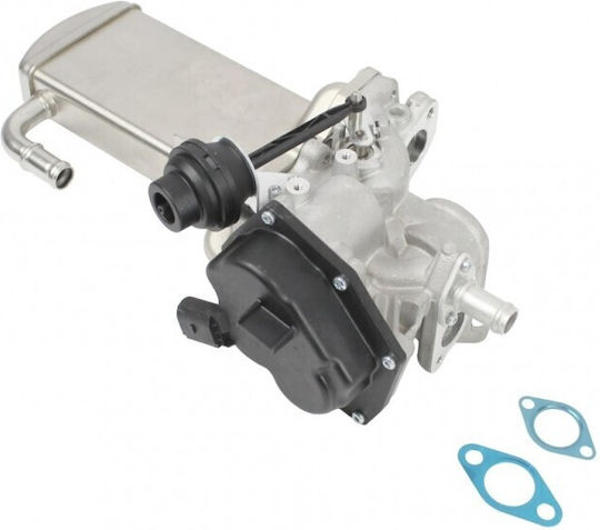 Вентил EGR Радиатор Audi A4 A5 Q5 Seat Exeo ST 03l131512bg