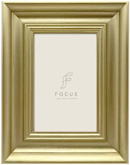 Focus Wall-Mounted Plastic Photo Frame With Gold Frame