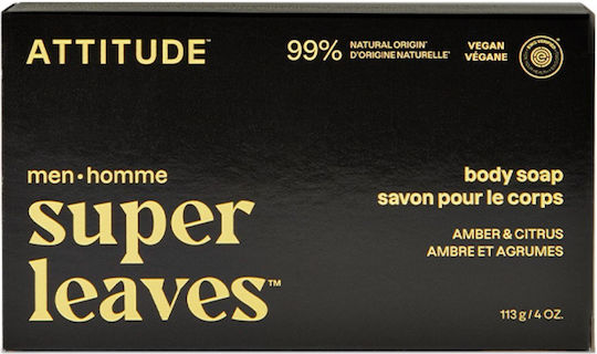 Attitude Μπάρα Σαπουνιού με Βούτυρο Καριτέ 113gr