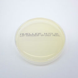 Mueller Hinton Agar 90mm