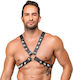 Zado Men's Black Harness
