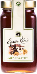 Ergastiri Meliou Fir Honey 750gr
