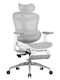 Sihoo Doro C300 Офисен Стол с Регулируеми Подлакътници Off White