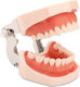 Manechin De Antrenament Medical