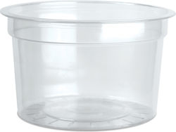 Set 50 Mit Gewicht 240ml Transparente Set 50 Mit Gewicht 240ml Transparente