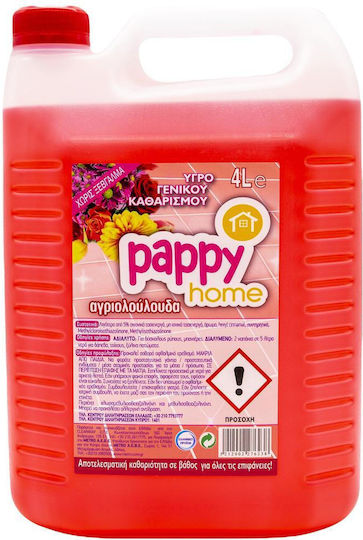 Pappy Home Miss Vivian Allzweckreiniger Flüssig Allgemeine Verwendung 4l