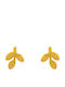 Bizoutaki Stud Earrings Silver Gold Plated