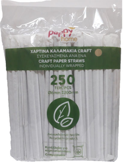 Pappy Home Papier Strohhalme Craft 250 Stücke 6-72946