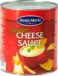 Santa Maria Σάλτσα 3000gr