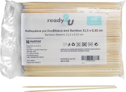 Ready Disposable Barbecue Spit 500pcs Ready Disposable Barbecue Spit 500pcs