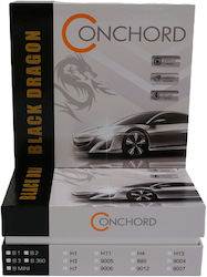 Conchord Bmini 9006 Led Kit 90w 12000lm Same Size To Halogen 6000k White