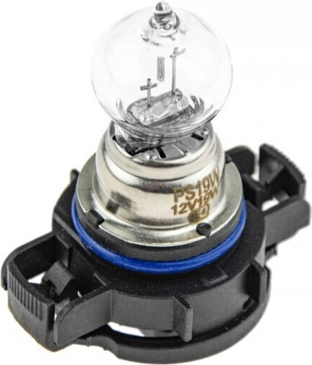 NTY Car Lamps PS19W 12V 19W 10 Pieces