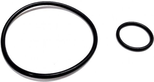 O-Ring Dichtungssatz Für Vakuumpumpe Ford Peugeot 1764931