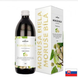 Nef de Sante Lotiune pentru păr 500ml Nef de Sante Lotiune pentru păr 500ml