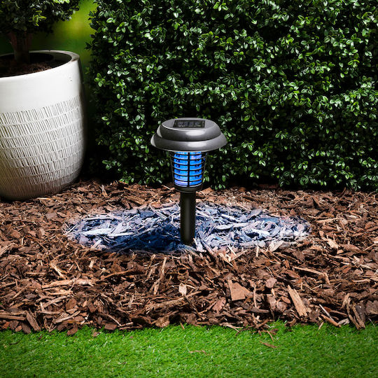 Grundig Spiked Solar Flowerpot Light with Photocell IP44 15.4x14.4x43.5cm